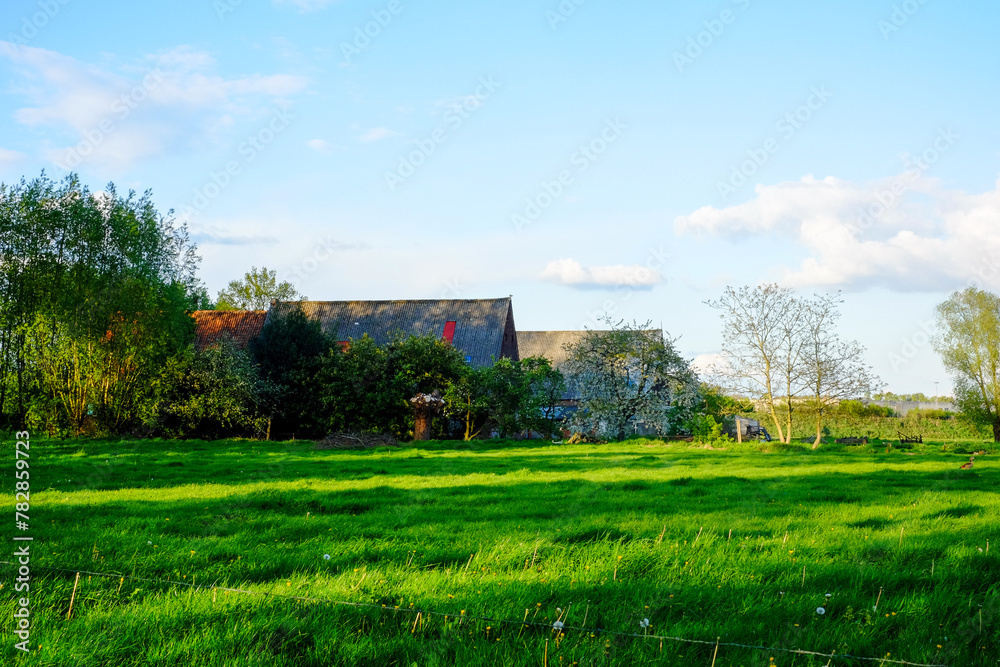 An overgrown and seemingly abandoned farmhouse with a damaged roof sits in contrast to the vivid green fields around it under a bright blue sky with scattered clouds. The rural scenery captures a