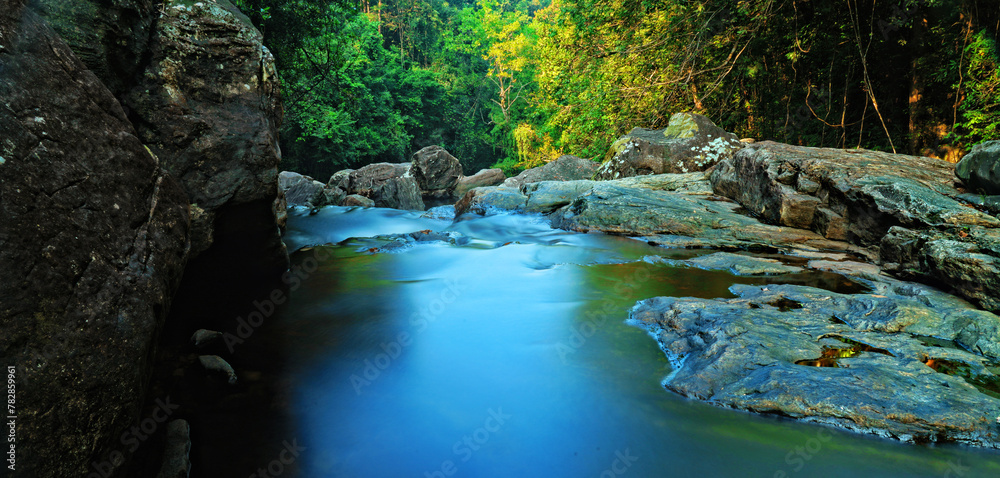 Naklejka premium waterfall in the forest