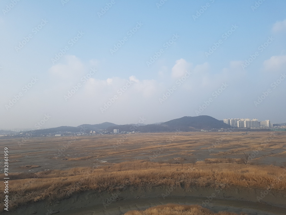 Fototapeta premium fog over the river