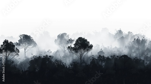 A surreal forest landscape, with the dark outlines of trees dramatically set against a misty white sky. 