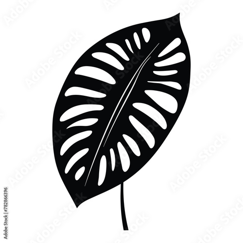 Palm banana leaf silhouette vector.