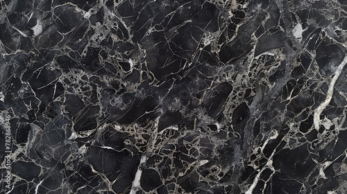 An elegant black marble surface with intricate grey and silver patterns, creating a sophisticated and luxurious feel for any design project. © muhammad