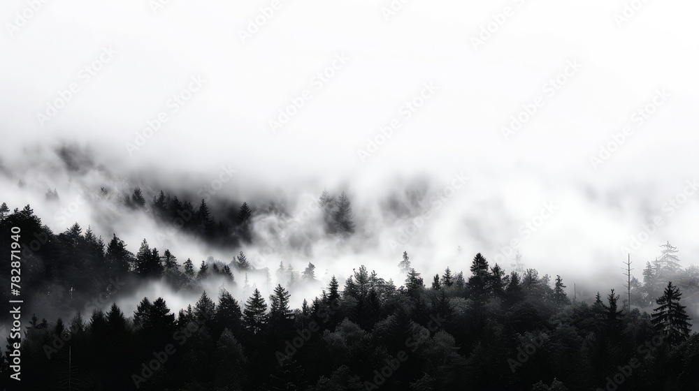 The distinct silhouettes of a thick forest under a heavy fog, creating a monochrome scene against a white sky. The distinct silhouettes of a thick forest under a heavy fog, creating a monochrome scene against a white sky.
