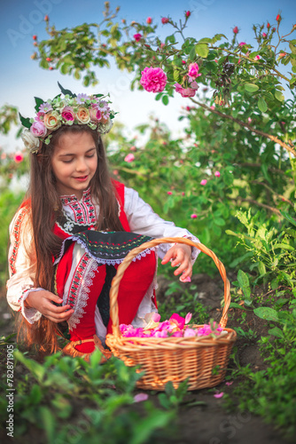 Girl in ethnic folklore clothing harvesting oil-bearing roses at sunrise. Bulgarian Rose Damascena field, Roses valley Kazanlak, Bulgaria