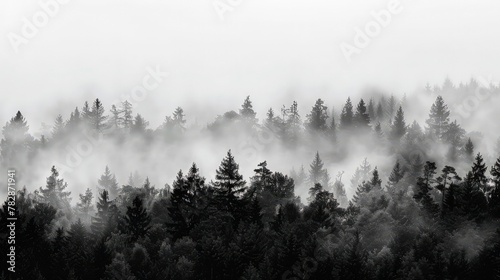 The distinct silhouettes of a thick forest under a heavy fog  creating a monochrome scene against a white sky. 
