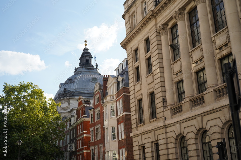 Naklejka premium Urban Elegance: The Giant Wonder