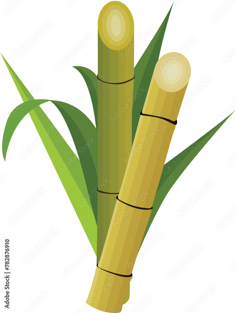 Sugar Cane with Leaf Sugar Cane with Leaf