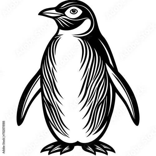 penguin on a white background