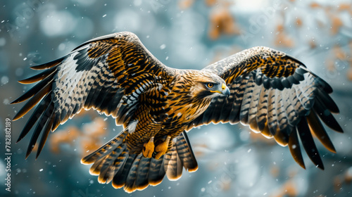 A majestic bird of prey, possibly a hawk or eagle, in mid-flight, with widespread wings, against a snowy backdrop.