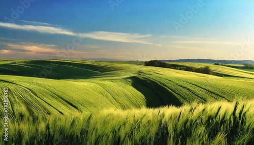 Sunset Symphony: A Visual Ode to the Enchanted Wheat Fields"