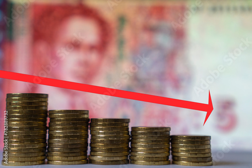 Symbol currency fluctuations and inflation: fall of the Bulgarian Lev