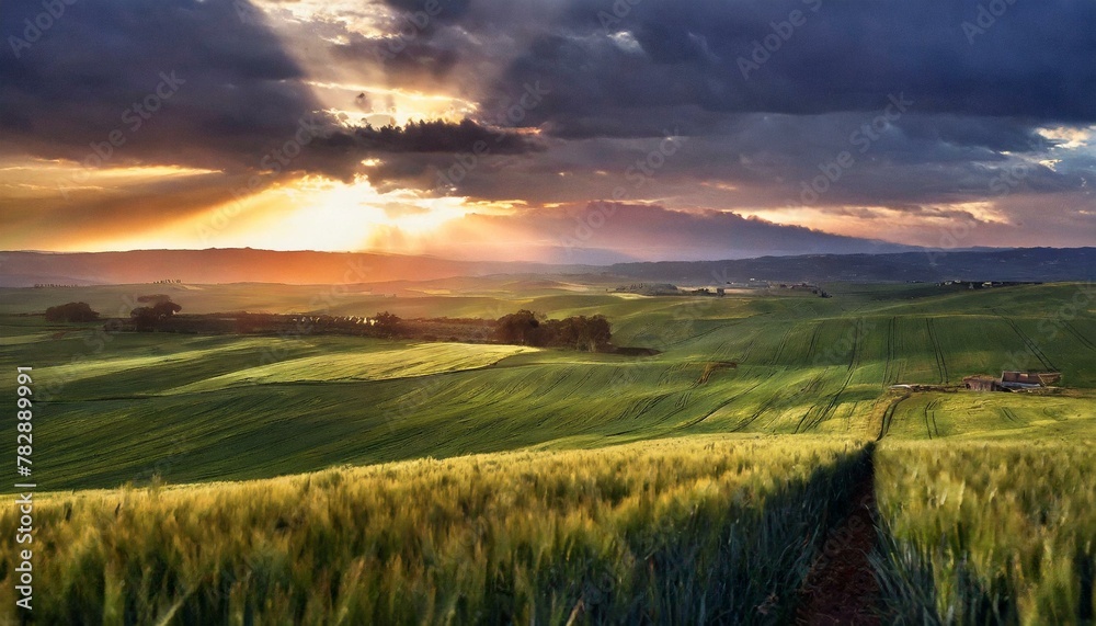 Sunset Symphony: A Visual Ode to the Enchanted Wheat Fields