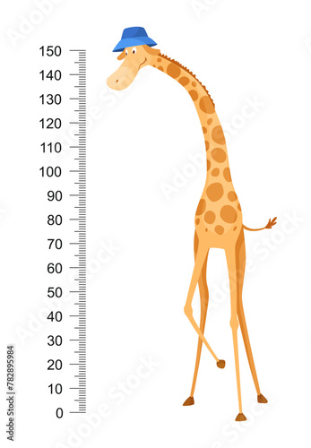 Funny giraffe. Cheerful funny giraffe with long neck. Giraffe meter wall or height chart or wall sticker. Illustration with scale from 0 to 150 centimeter to measure growth