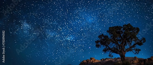 Starry sky over Joshua Tree, close up, clear details, night sky, tranquil © Thanthara