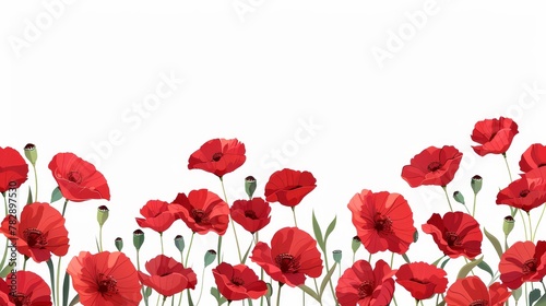 Decorative modern background with poppies in red.