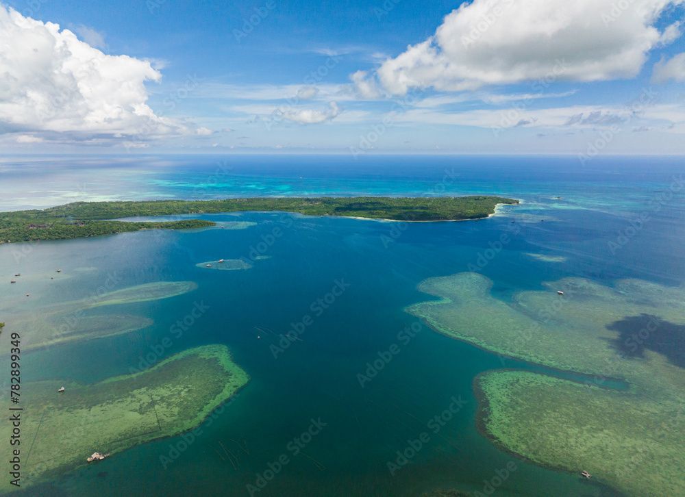 Aerial drone of rainforest and jungle on the coast of the island. Balabac, Palawan. Philippines.