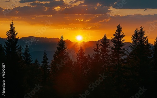 Sunset and silhouettes of trees in the mountains