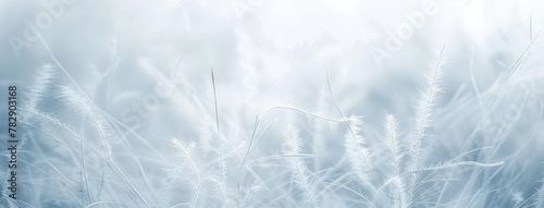 Frosty Meadow in Soft Morning Light Background © evening_tao