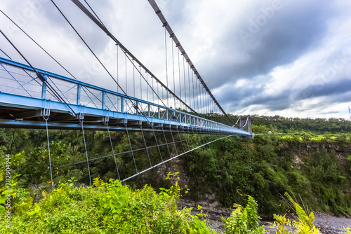 Pont suspendu de la rivière de L’Est, île de la Réunion 