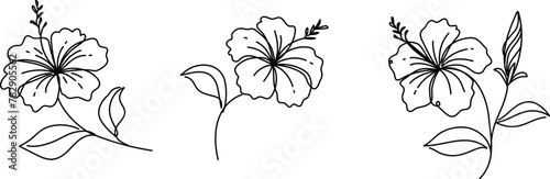 シンプルなハイビスカスのイラスト