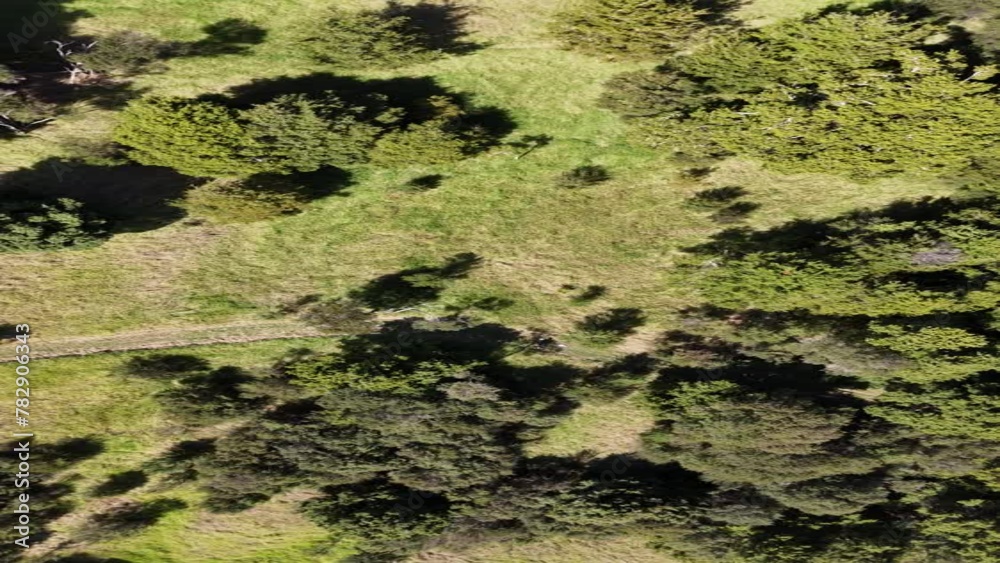 Greenery, trees and farmland from above. Greenery, trees and farmland from above.