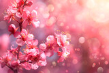 beautiful blooming Japanese sakura, blurred background