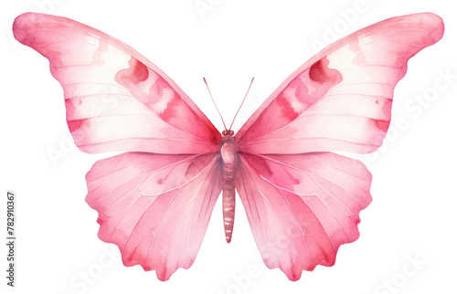 PNG Butterfly animal insect petal © Rawpixel.com