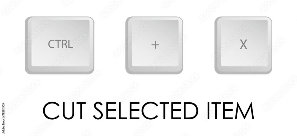 Vecteur Stock Cut key combination. Keyboard shortcut for quickly