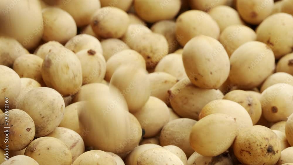 Slow-motion, lansgat fruit, lansium parasiticum, longkong, lanzones, tropical Slow-motion, lansgat fruit, lansium parasiticum, longkong, lanzones, tropical