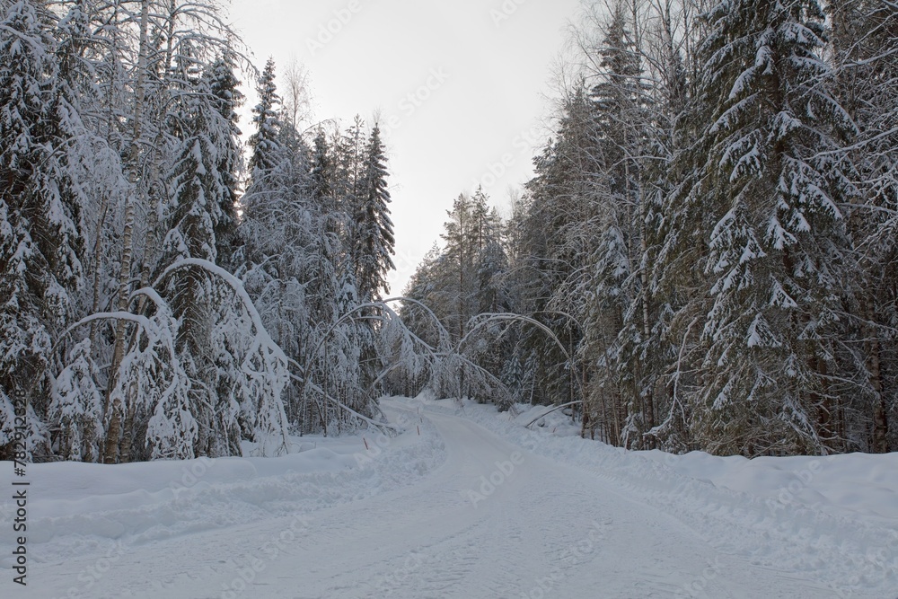 Plowed rural road with tire tracks that is lined with trees in cloudy winter weather with snow on the ground, Finland.