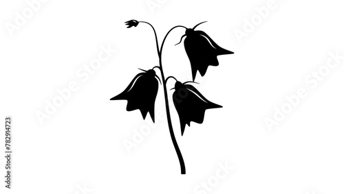 Harebell flower, black isolated silhouette