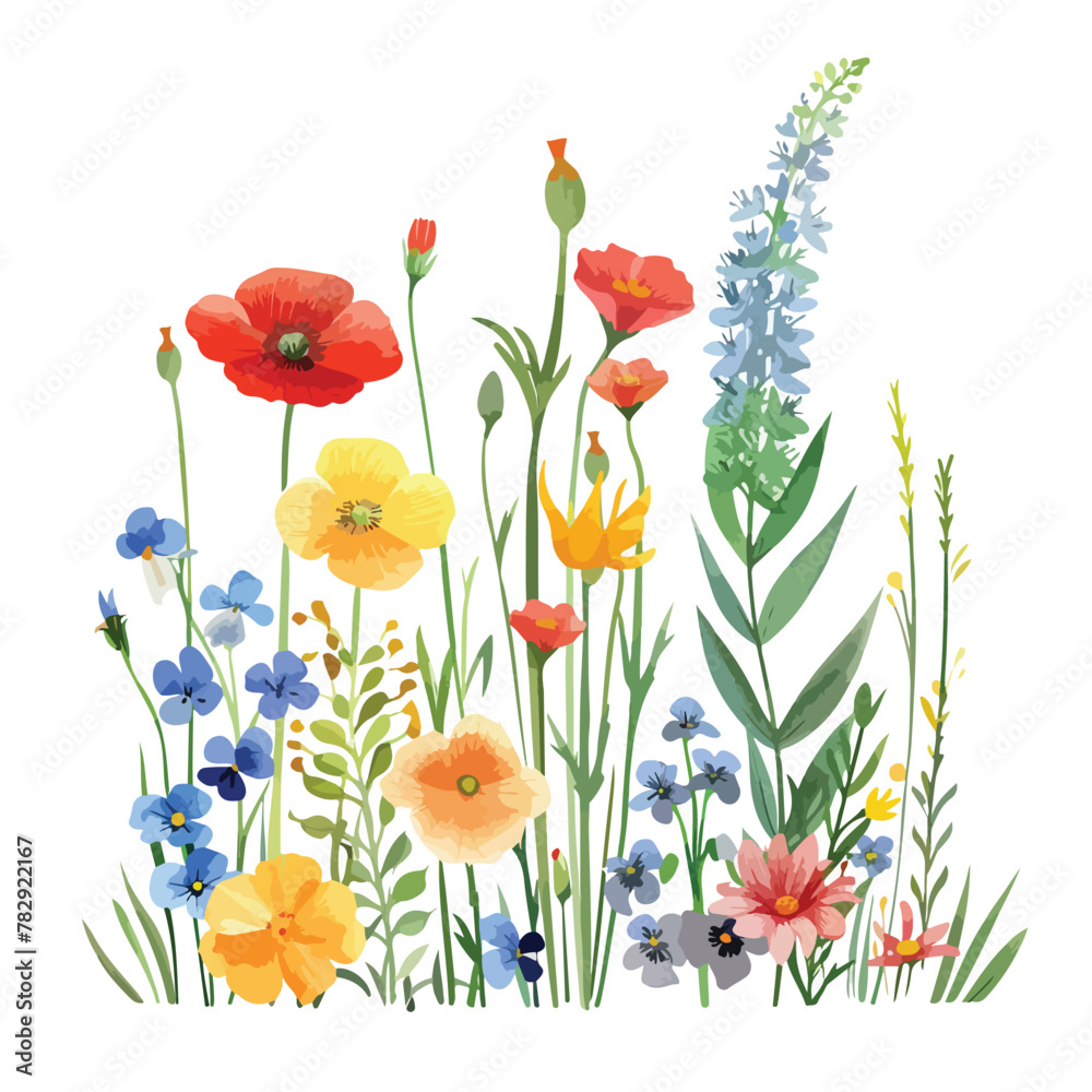 Wildflowers Clipart clipart isolated on white background