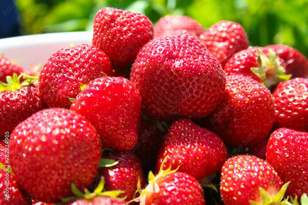 Closeup of red ripe strawberries on a stack in a basket Closeup of red ripe strawberries on a stack in a basket