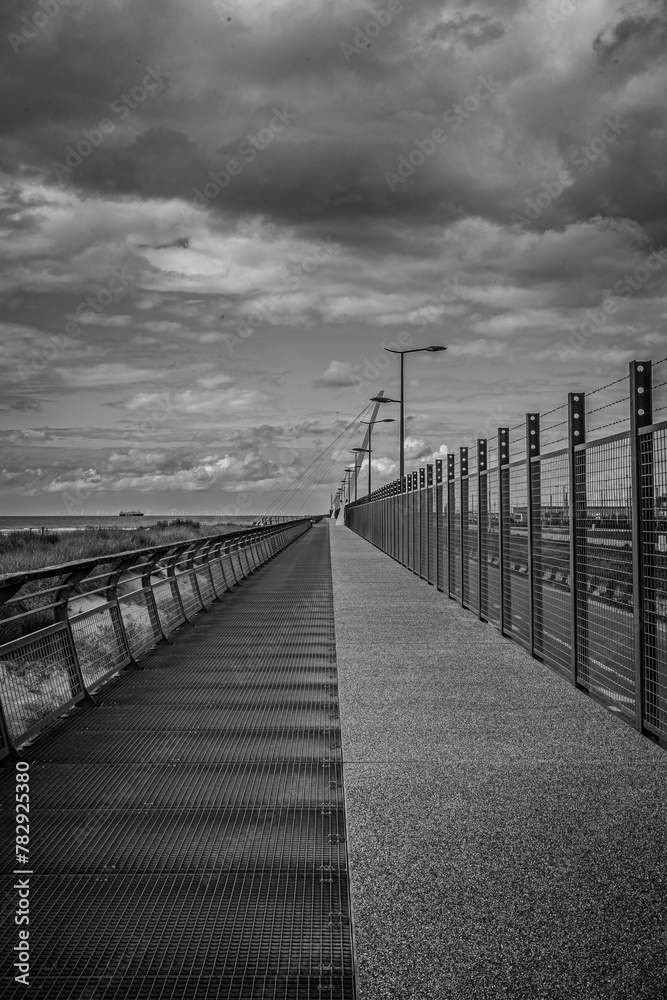 Vertical grayscale shot of a caged bridge under a cloudy sky.