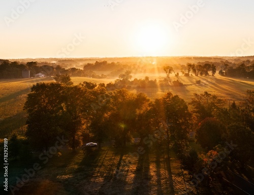 Aerial view of trees in Golden Fields on the sunrise in Newtown, Pennsylvania