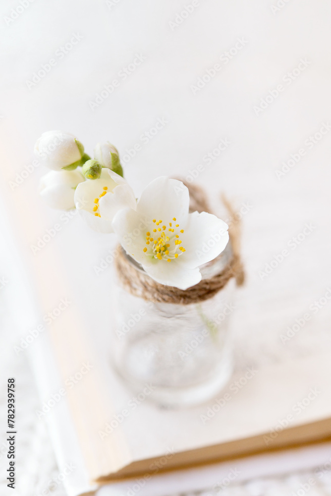Close-up of a bouquet of white flowers in a small glass vase on an open book on a white background. Slow life concept. Greeting card mockup
