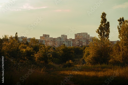 Park with trees on meadows with house buildings on the horizon under light sky © Wirestock