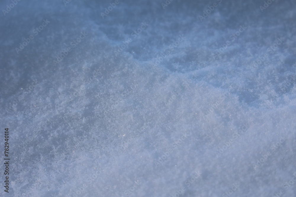 Obraz premium Closeup shot of fresh show with shadows cast on it