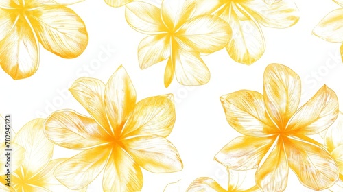 drypoint of seamless pattern color of Plumeria is light yellow,dark yellow and white photo