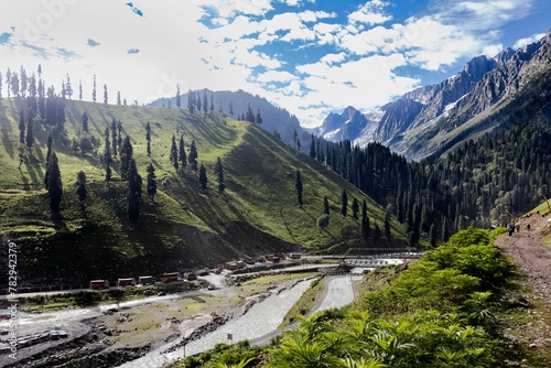 Scenic view of a river flowing green mountains of Kashmir, India