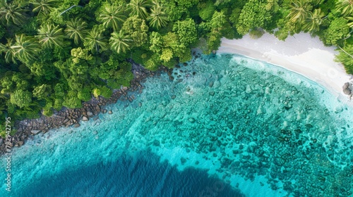 Tropical Paradise: Aerial View of Pristine Beach and Lush Greenery