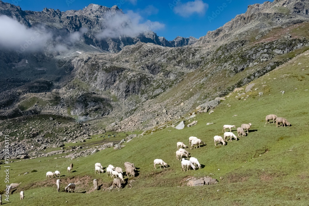 Beautiful shot of a herd of sheep grazing on a rural mountainside valley