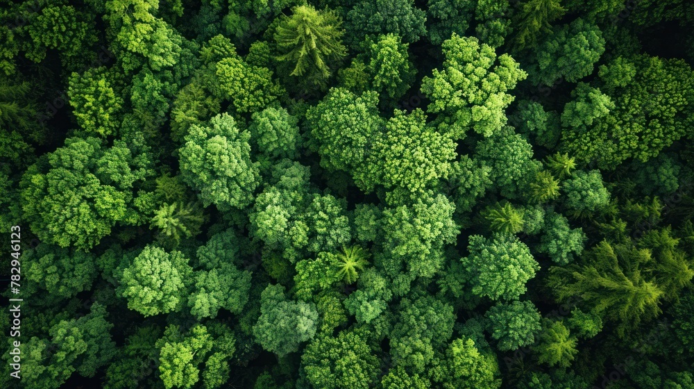 AI generated illustration of an aerial view of a dense green forest canopy