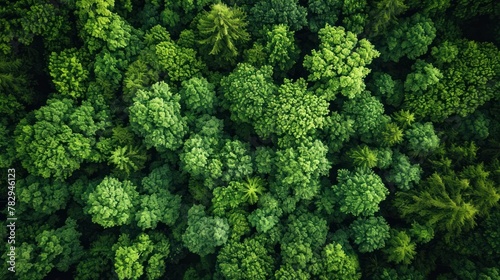 AI generated illustration of an aerial view of a dense green forest canopy