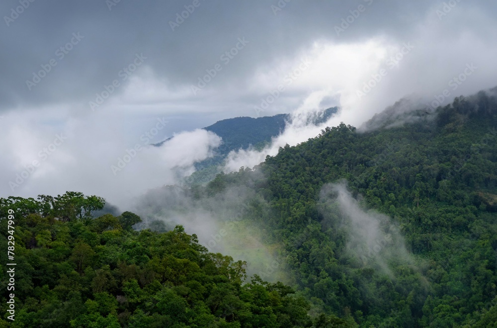 In the misty mountains, clouds and fog blend, veiling the rugged peaks and valleys in mystery.


