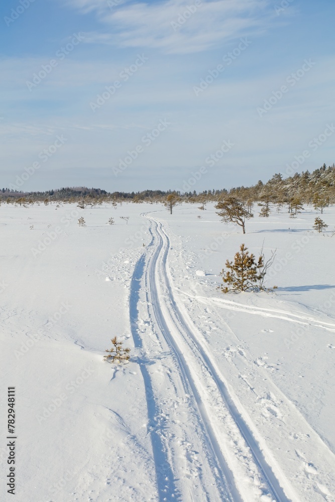 Skiing tracks at snowy marsh in sunny winter weather with snow covering the ground, Toronsuo National Park, Tammela, Finland. Skiing tracks at snowy marsh in sunny winter weather with snow covering the ground, Toronsuo National Park, Tammela, Finland.