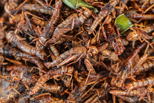 fried grasshoppers