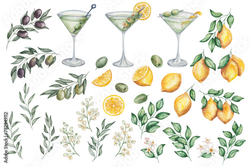 Watercolor set of illustrations. Hand painted dry martini cocktails in martini glass. Green olives, lemon fruits, flowers, branches, leaves. Citrus. Dirty martini. Alcohol drink. Isolated clip art photo