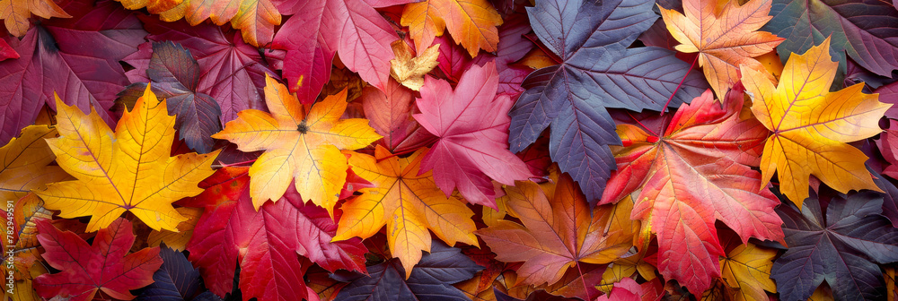 Vibrant Autumn Leaves Background - Colorful Fall Foliage Texture