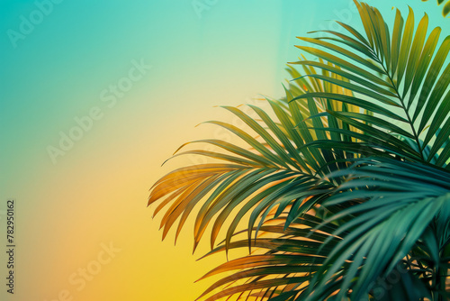 Tropical Palm Frond Silhouette against Vibrant Sunset Sky